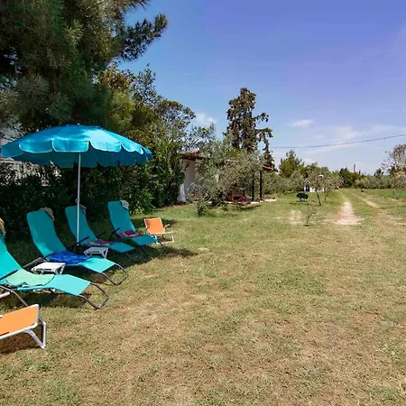 Clio House By Travel Pro Services - Metochi Halkidiki Holiday home Sozopoli